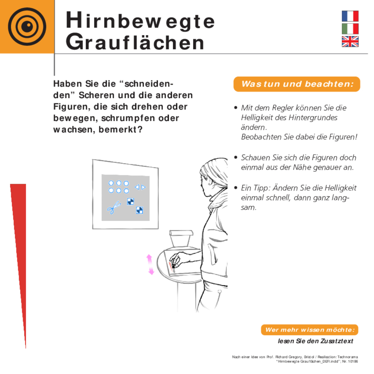 10186 Hirnbewegte Grauflächen DEFI 10186 Hirnbewegte Grauflächen DEFI