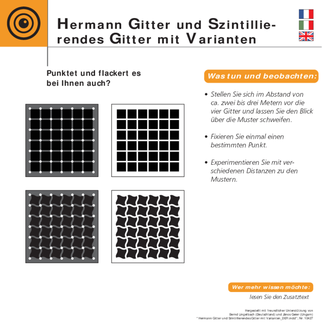 10427 Hermann Gitter und Szintillierendes Gitter mit Varianten DEF