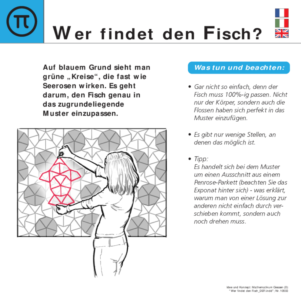 10503 Wer findet den Fisch DEFI