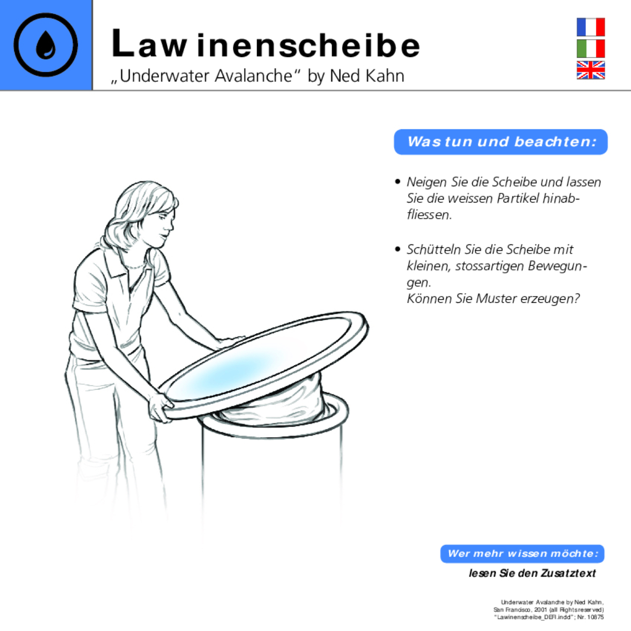 10875 Lawinenscheibe DEFI