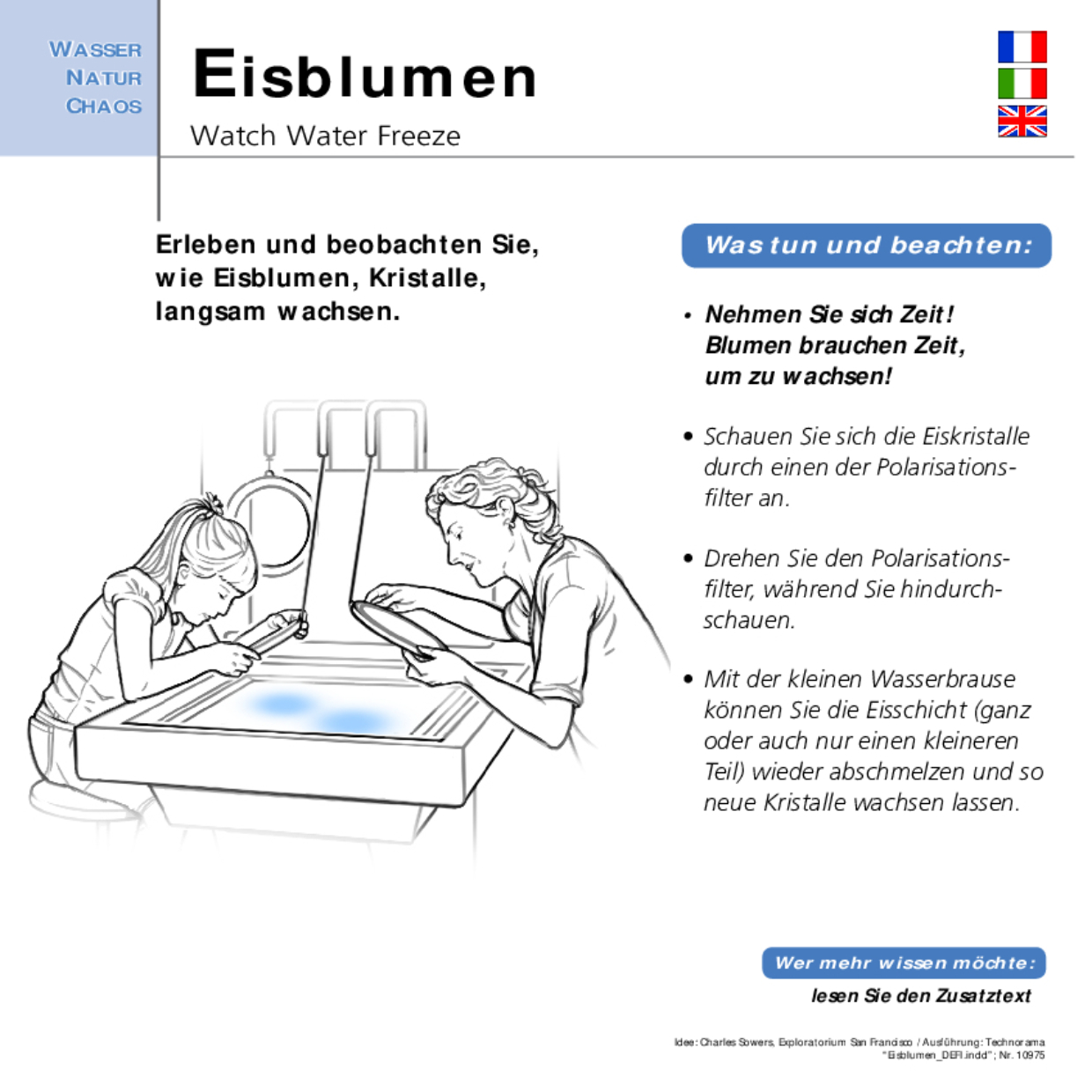 10975 Eisblumen DEFI