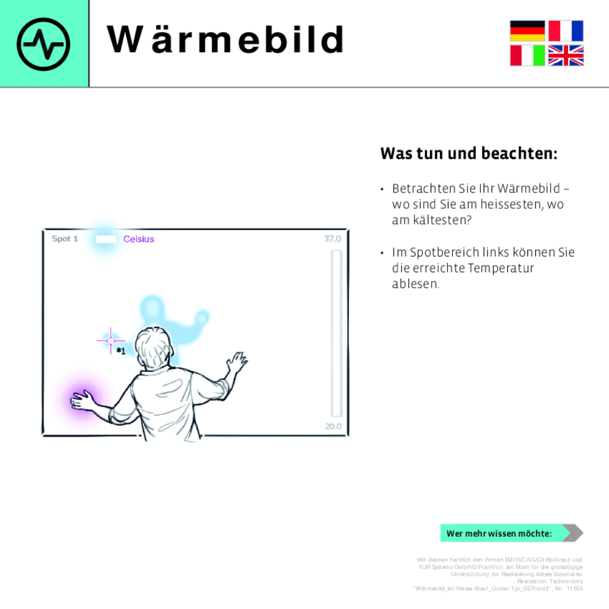 11185 Wärmebild DEFI