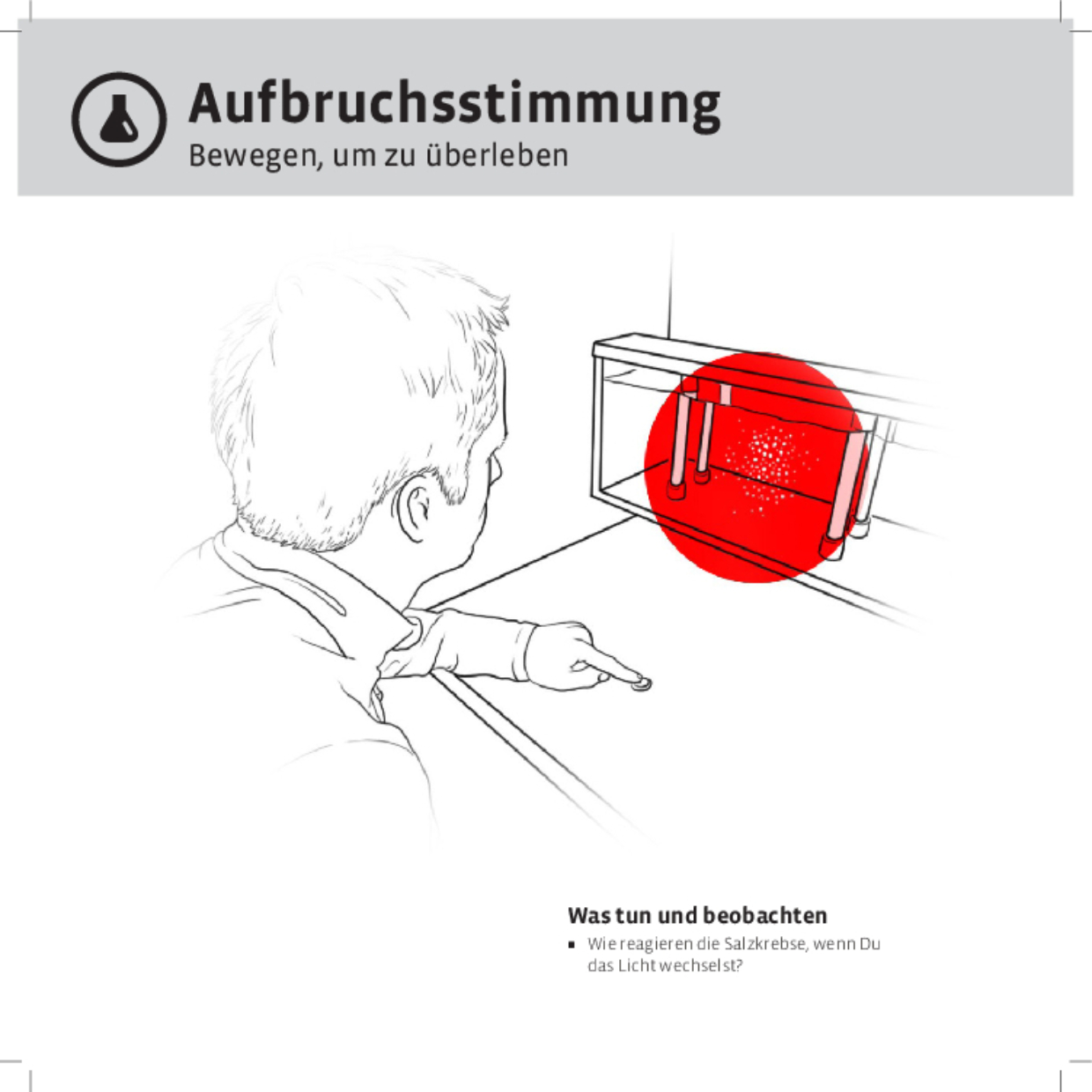 11727 Aufbruchsstimmung DEFI