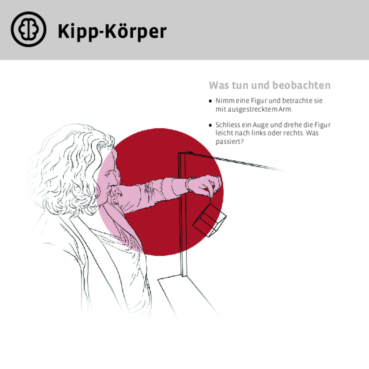 11762 Kipp Körper DEFI