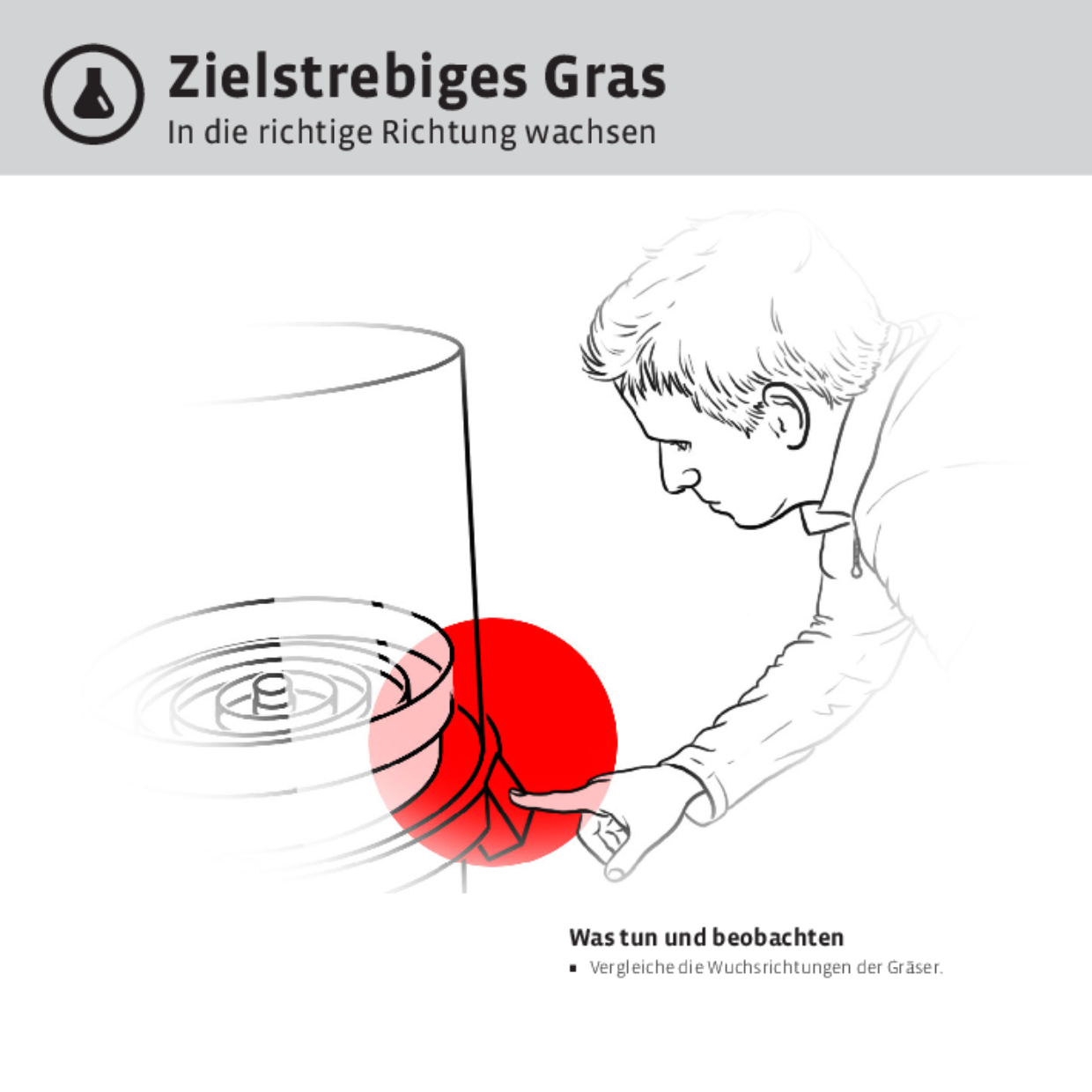 11786 Zielstrebiges Gras DEFI 11786 Zielstrebiges Gras DEFI
