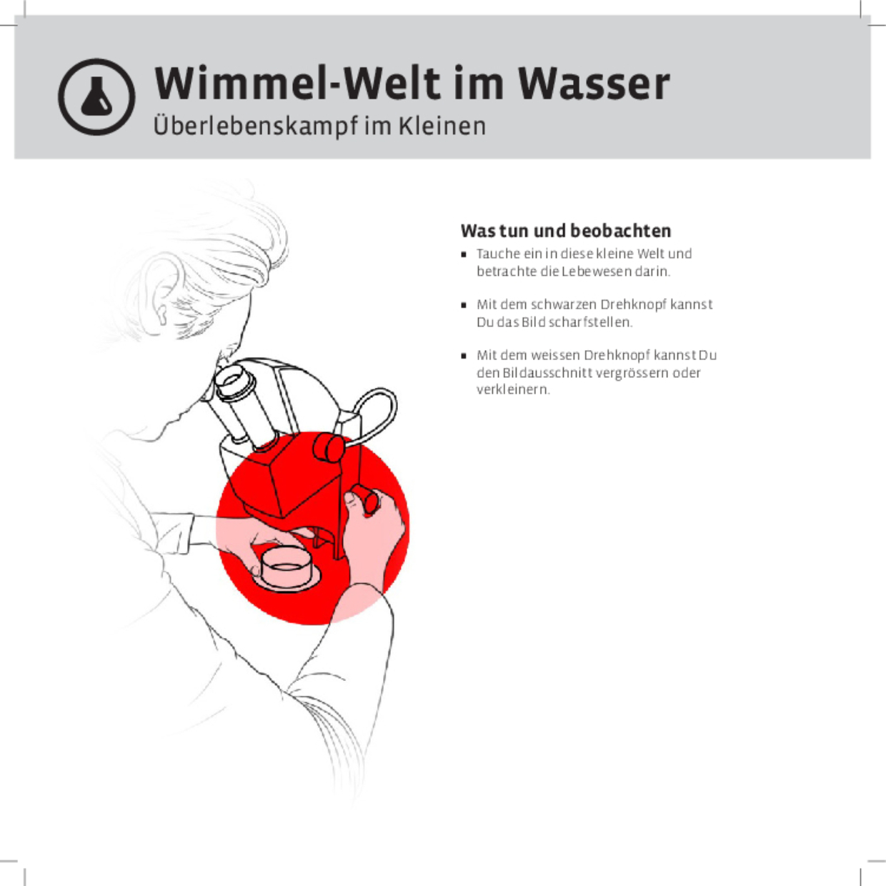 11788 Wimmelwelt im Wasser DEFI