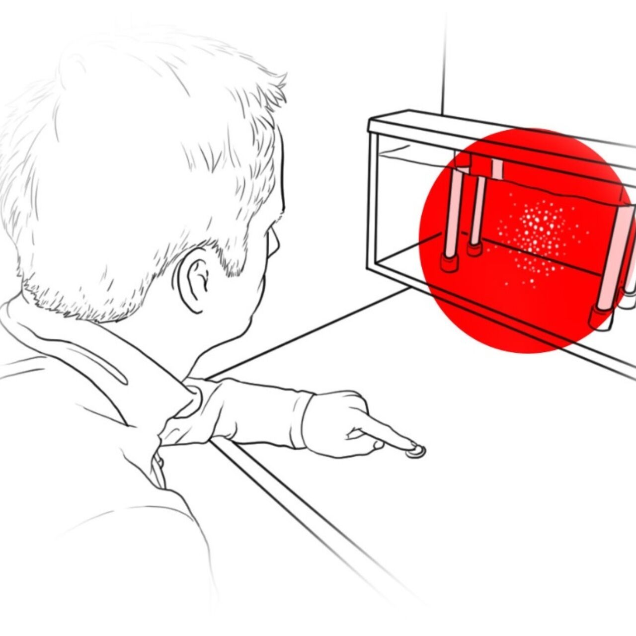 Illustration Web Salzkrebse