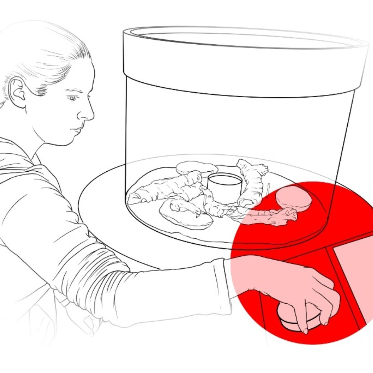 Illustration Web Verweseung