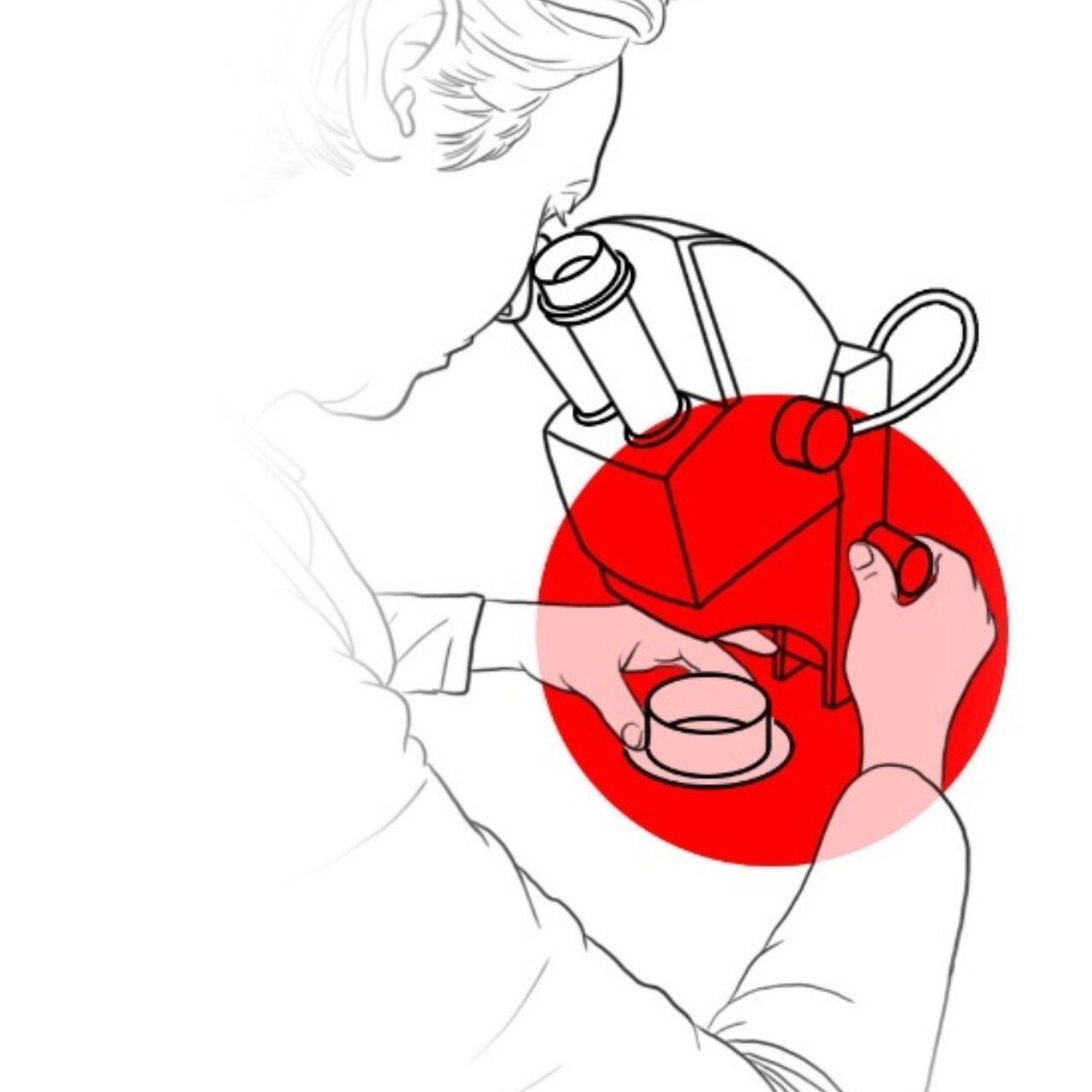 Illustration Webimmelwelt