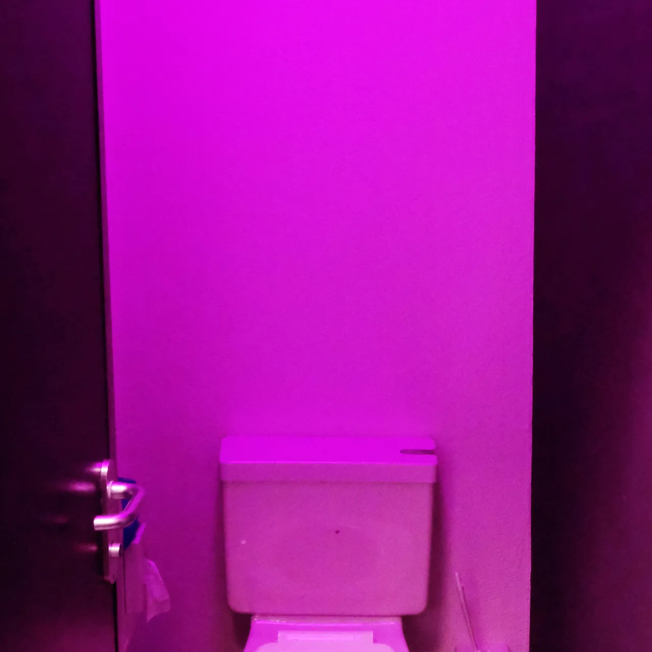 11902 Farbenwechsel Damen 2 OG T2 Haupt