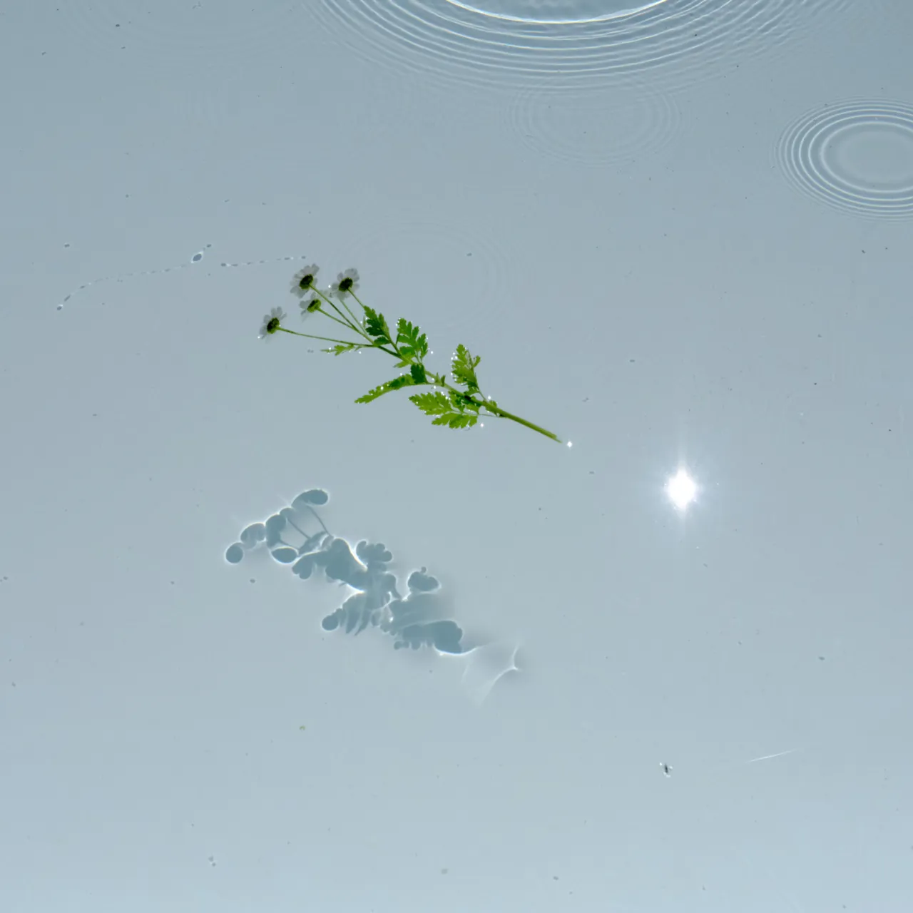 11832 Tropfbrunnen Detail5