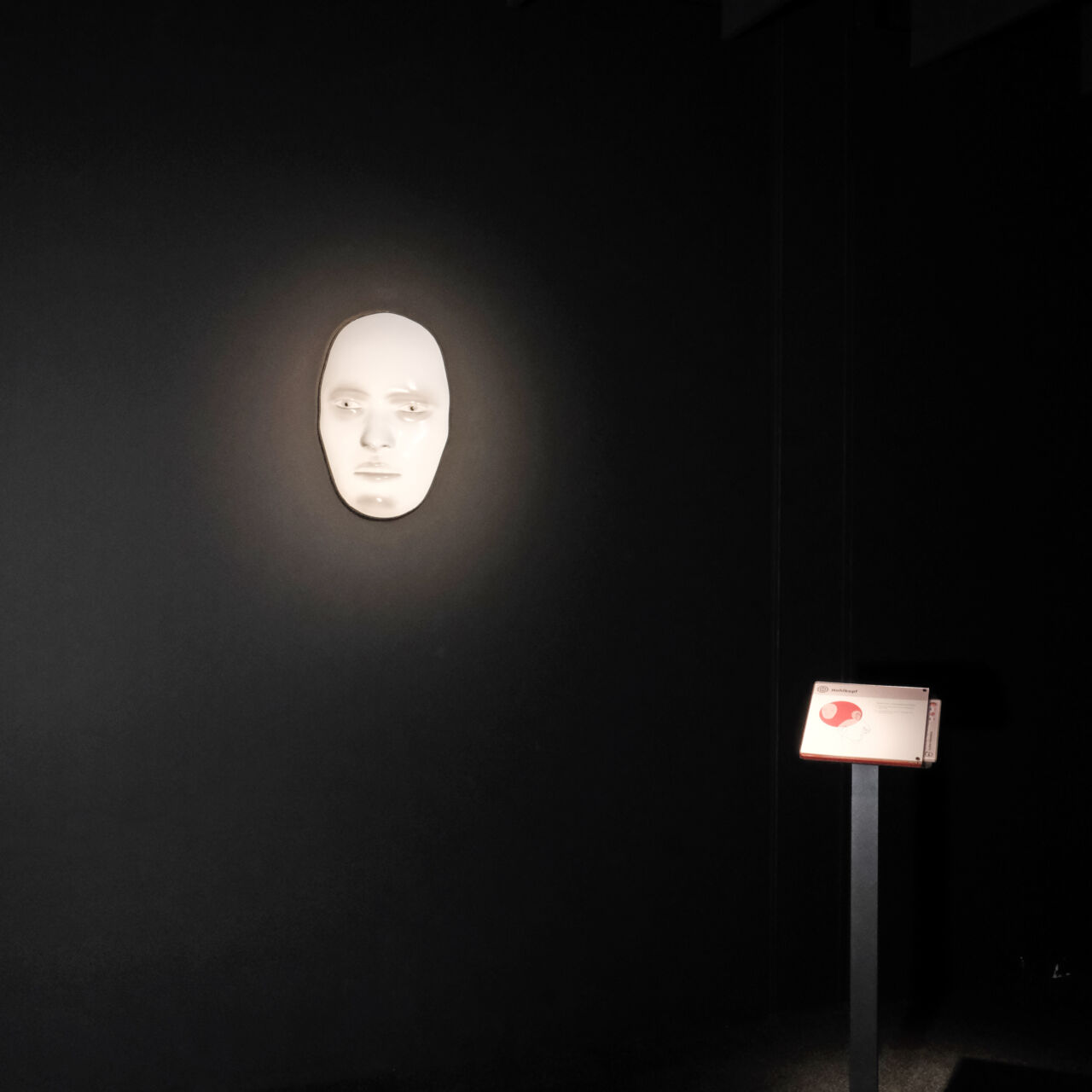 11804 Haupt 11804 Haupt