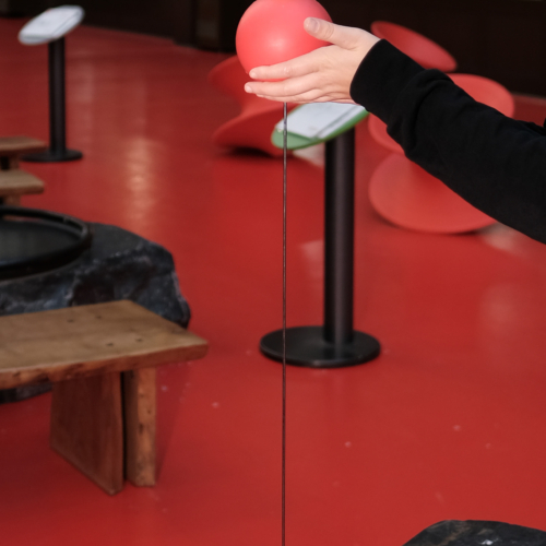 11116 Impulsschleuder Detail