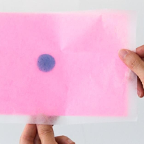 Fading Dot Main Fading Dot Main