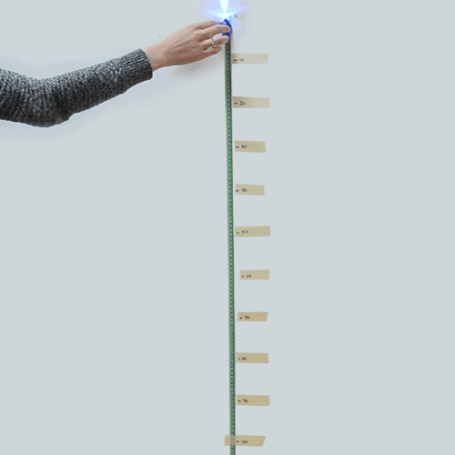 Falling For Gravity Main Falling For Gravity Main