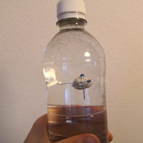 Flaschentaucher Haupt Flaschentaucher Haupt