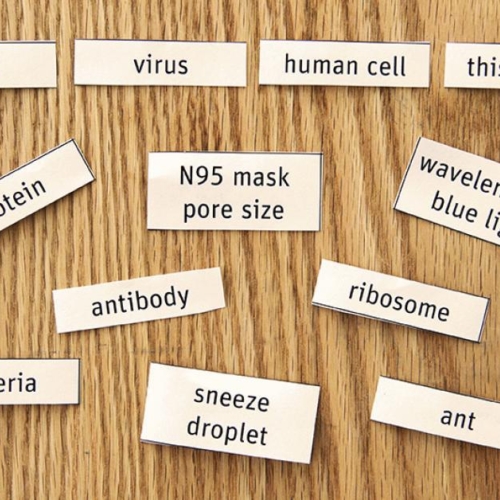 Life Size Main Life Size Main