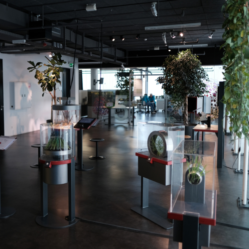 Main Aktivität Sterben und Leben