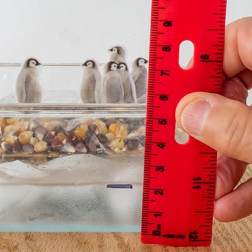 Melting Ice Main Melting Ice Main