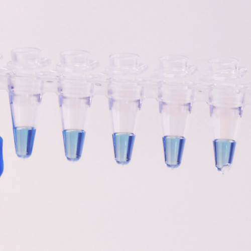 PCR2 PCR2