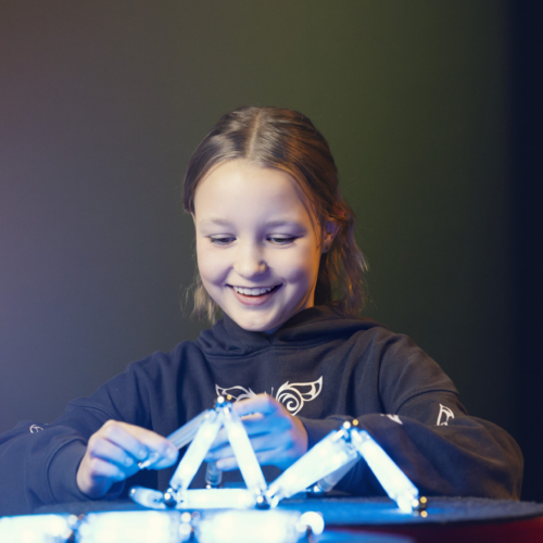 ST 2x3 Winterthur Technorama 107500 scaled