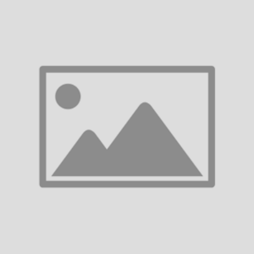 Placeholder image Placeholder image